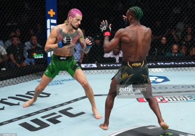 UFC 292. Shon O‘Melli Aljameyn Sterlingni nokautga uchratib, chempionga aylandi фото