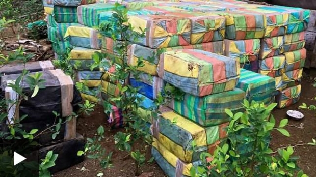 Kolumbiyadagi junglida 5 tonna kokain topildi