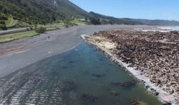 Yangi Zelandiyadagi zilzila sababli okean tubi quruqlikka aylanib qoldi