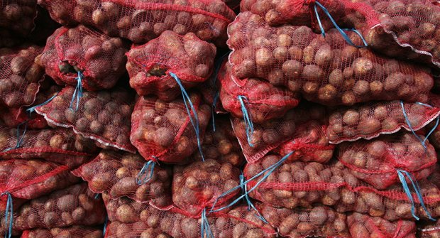 Ўзбекистонга Россия картошкаси жўнатилмоқда