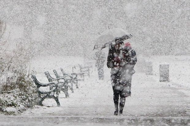 Эртага Ўзбекистонда қор ёғиши кутилмоқда