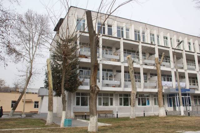 Toshkentda chinorlar kesilishi holatlari davom etmoqda