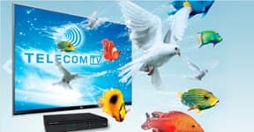 TELECOM TV савдо белгиси остида тақдим этилаётган хизматлар сифатини ошириш мақсадида,  Бухоро ва Қўқон шаҳарларида IPTV CDN қурилмалари ўрнатилди