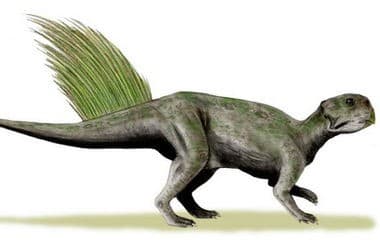 Xitoydagi uy zinasi ostidan dinozavrning 213 tuxumi va butun skeleti topildi