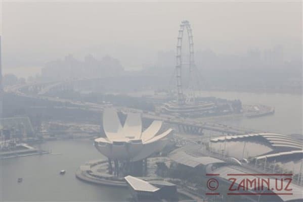 Singapur hukumati 5ta kompaniyani havoni ifloslantirganlikda gumon qilib, tekshiruv boshladi