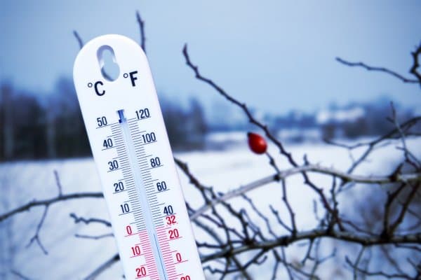 19 oktyabr kuni O‘zbekistonda muzlash kuzatilishi mumkin
