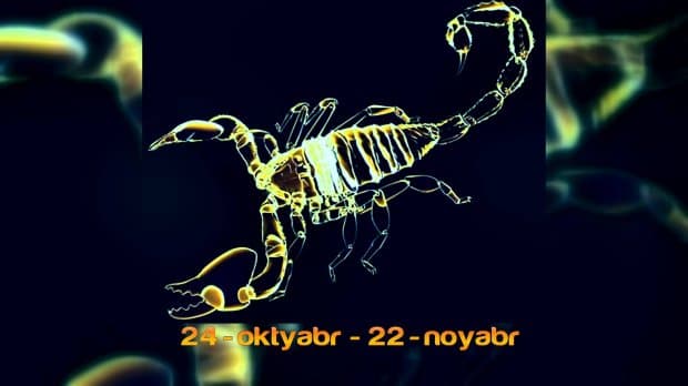 Чаён (24 октябрь – 22 ноябрь)