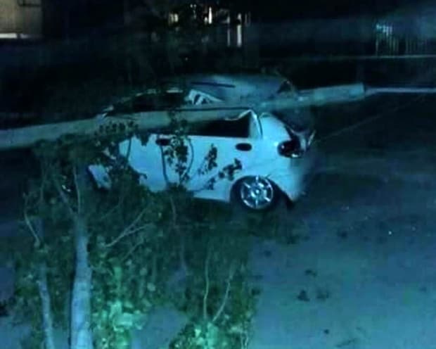 Тошкентда кучли шамол сабабли дарахтлар қулади
