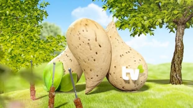 O‘zbekistonda yangi "Milliy" (MTV) telekanali ishga tushiriladi