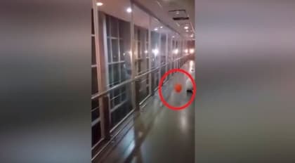 Kasalxonada ruh paydo bo‘lib, sharni o‘ynatdi (Video)