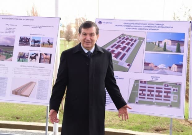 Шавкат Мирзиёев: одамларга даромад манбаи яратиш керак