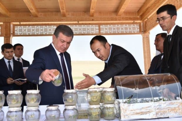 Шавкат Мирзиёев талаби: «Прокурор тадбиркорни сизласин!»