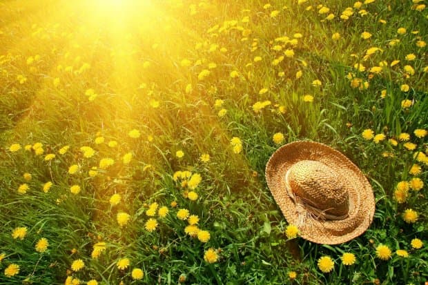 14 июль куни Ўзбекистонда қандай об-ҳаво кузатилади?