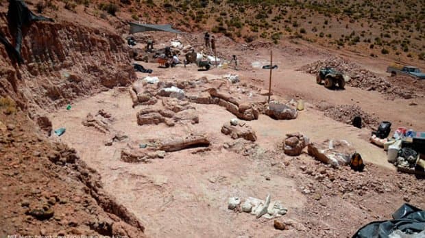 Eng ulkan dinozavr suyaklari topildi
