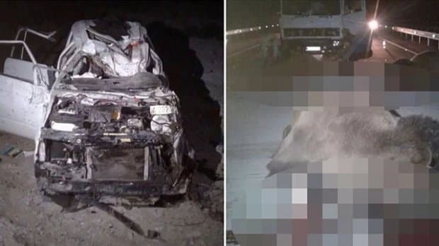 Range Rover va tuya to‘qnashgan YTHning fotosuratlari tarqaldi