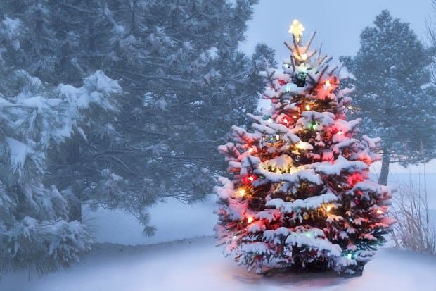 Mashhur Jingle Bells qo’shig’i Yangi yil bayrami uchun yozilmagani ma’lum qilindi
