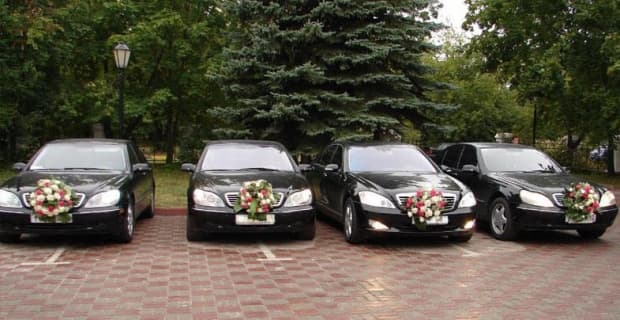 Блогер Сенатга тўй кортежларидаги автомобиллар сони бўйича таклиф берди