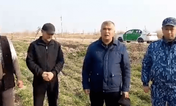 Қашқадарё ҳокими далани пайҳон қилган қўйларни сўйиб, тарқатишни буюрди (видео)