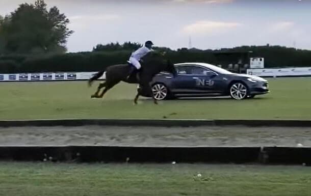 Tesla Model S otga qarshi poygada ishtirok etdi (video)