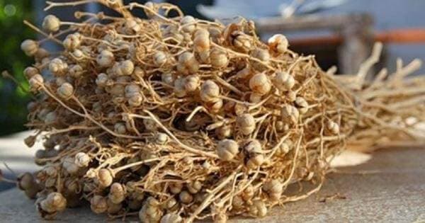 Туркманистонда исириқли совун ишлаб чиқарилади