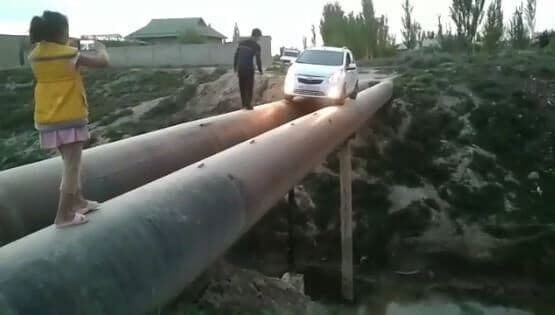 «Юраги отни калласидек» ҳайдовчи "отни калласидек" жаримага тушди (фото, видео)