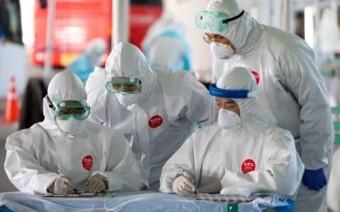 Одамда учрайдиган коронавируслар мавсумий характерга эга