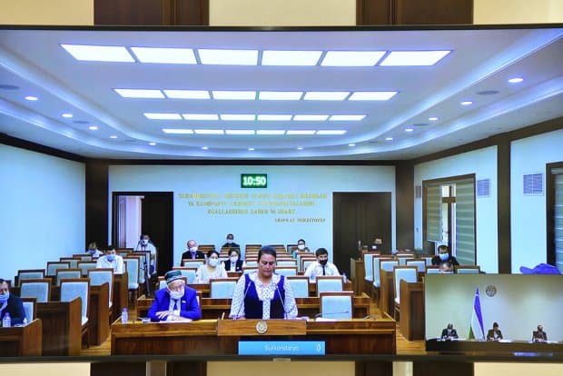 Senatorlar «Ta’lim to‘g‘risida»gi va «Aholi bandligi to‘g‘risida»gi qonunlarni ma’qulladi