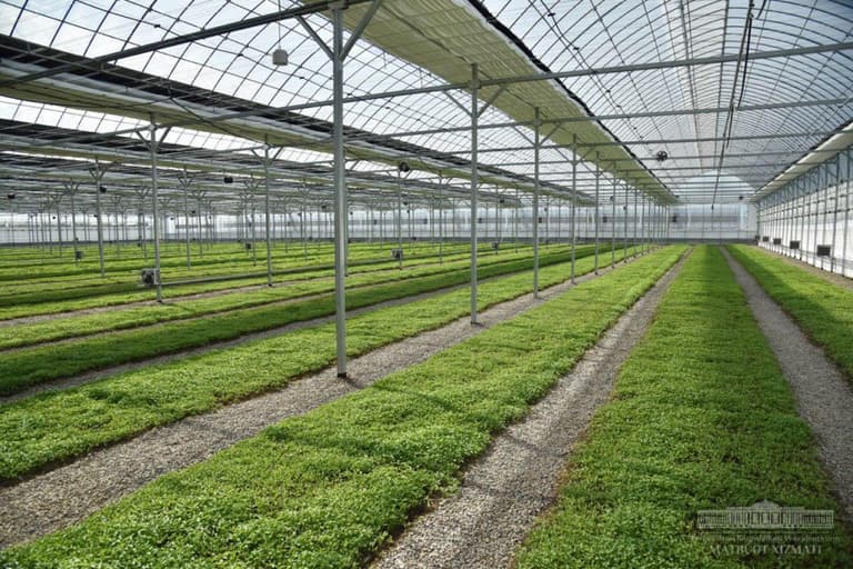 O‘zbekistonda agroklasterlar tizimini jadal rivojlantirishga xizmat qiluvchi qonun va hukumat qarori qabul qilinishi kutilmoqda