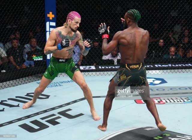 UFC 292. Шон O’Мелли Алжамейн Стерлингни нокаутга учратиб, чемпионга айланди
