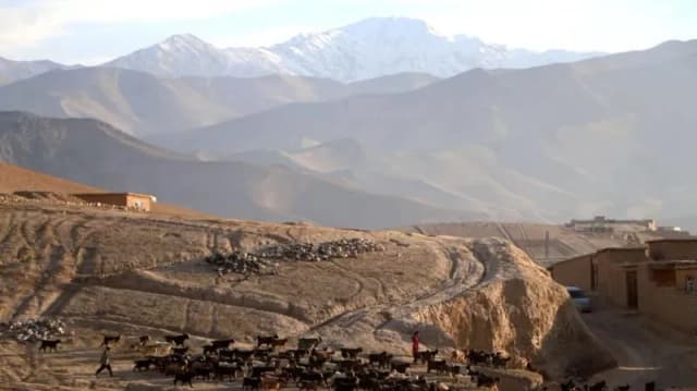 Afg‘onistonda biznes-jet halokati: to‘rt kishi omon qolgani aytilmoqda
