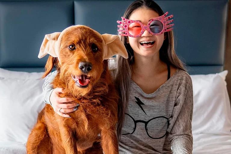 “Garri Potter”dagi sehrli iboralarni o‘rganib olgan it TikTok'ni zabt etdi
