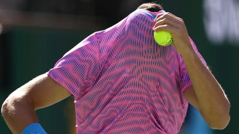 Tennis o‘yini asalarilar “hujumi” sabab to‘xtatildi