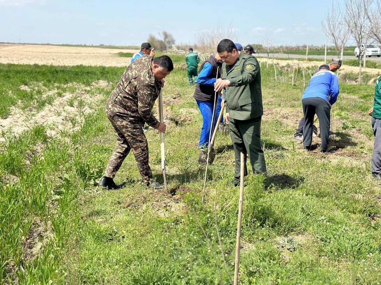 Каттақўрғонда “Яшил макон” умуммиллий лойиҳасининг баҳорги мавсуми давом этмоқда