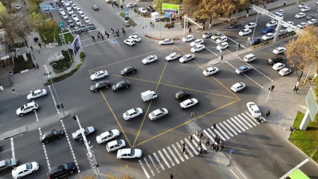 Yoʻl harakati qoidalarida ayrim holatlar uchun jinoiy javobgarlik belgilandi