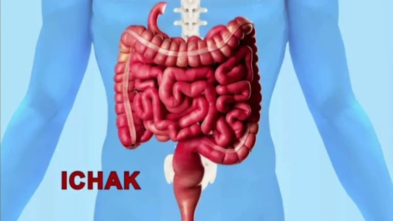 Bağırsak iyi çalışmazsa, moral de bozulur!