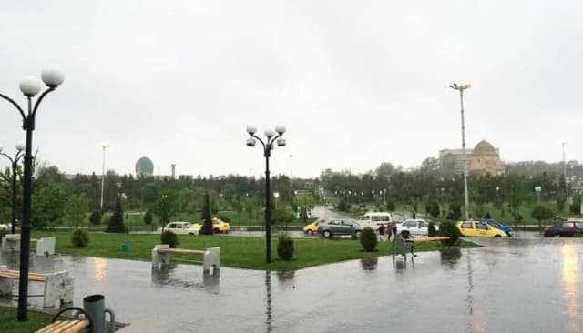 Rain is expected in some regions of Uzbekistan on May 17