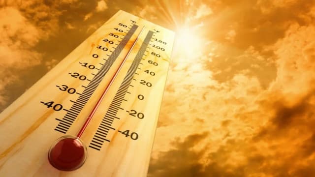 Up to 41°C expected today in Tashkent