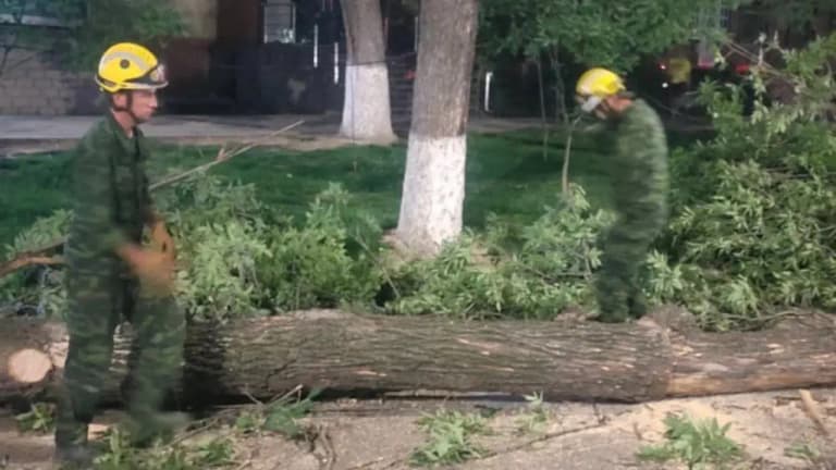 В Ташкенте страшный ураган привёл к трагедии: есть погибшие и пострадавшие!