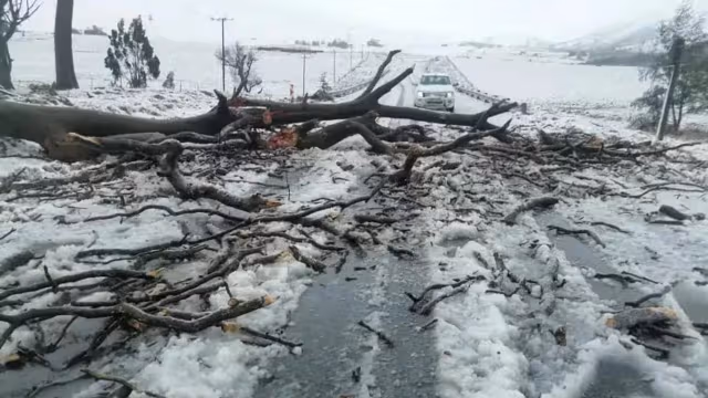 Janubiy Afrikada suv toshqini va qorong‘u qish qurbonlari ortib bormoqda