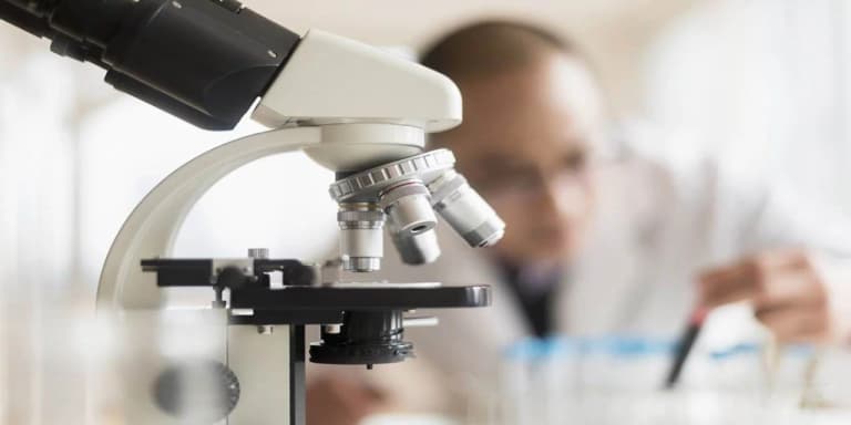Breakthrough against stomach cancer: new drug extended lifespan