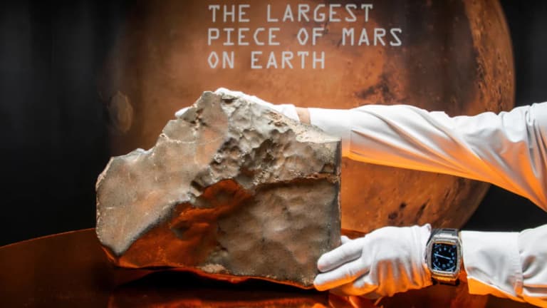 Meteorite that flew from Mars sold in New York for $5.3 million