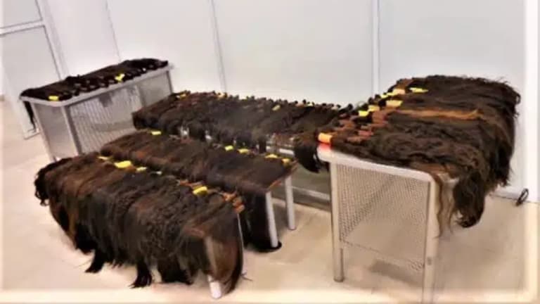 Özbek kadın 41 kg insan saçıyla yakalandı