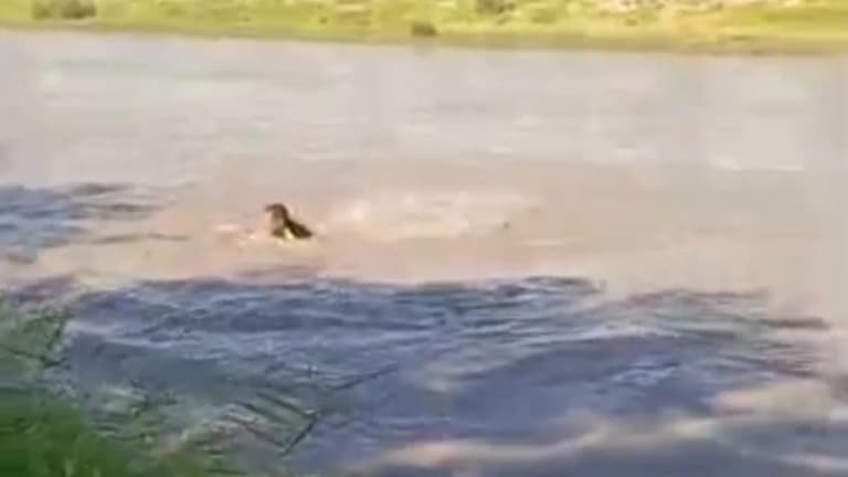 Life-and-death drama in Karshi canal: Traffic officer shows heroism
