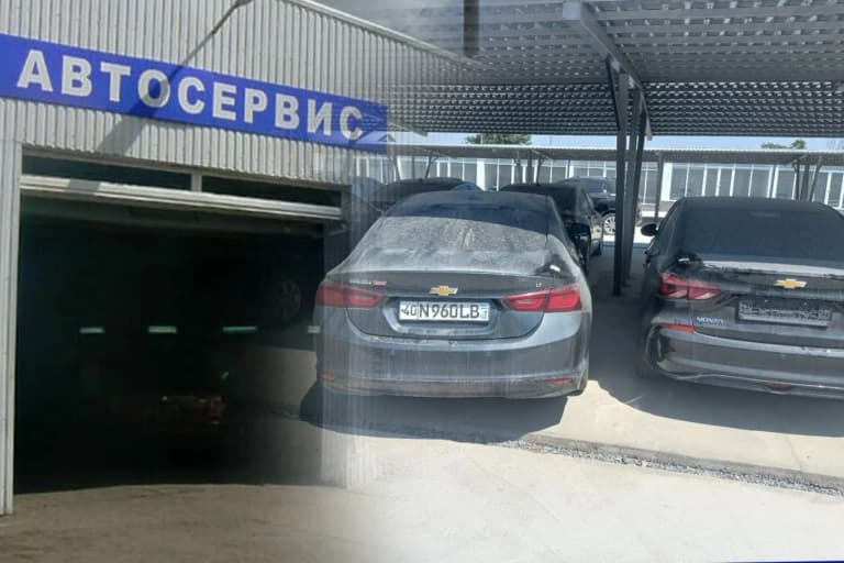 Бунақаси кам учрайди: яширин устахона ва ғойиб бўлган 276 та автомашина