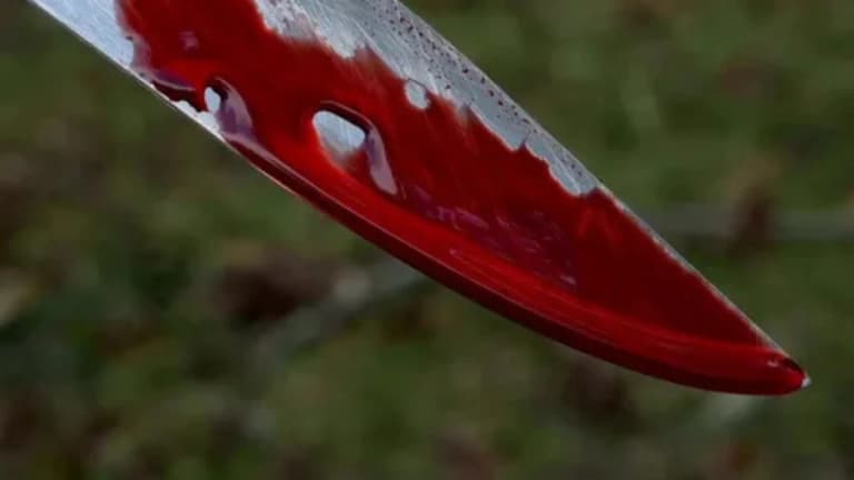 Man convicted of stabbing sister 60 times