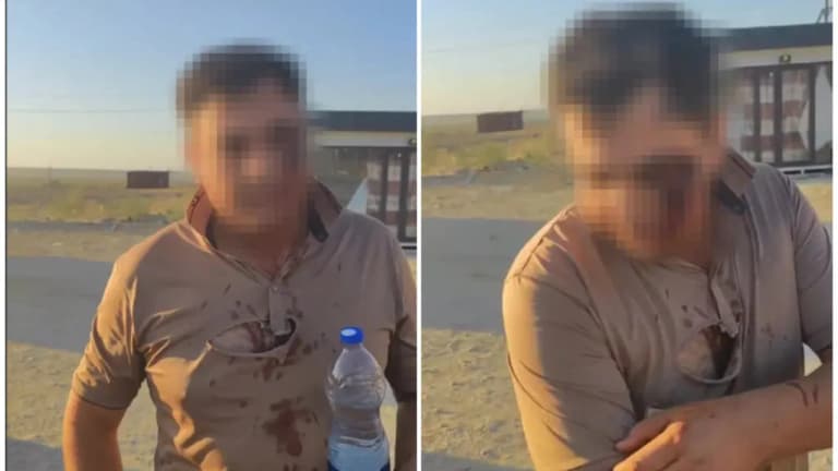 Beating instead of protecting: Illegal loggers in Bukhara tried to stop raid