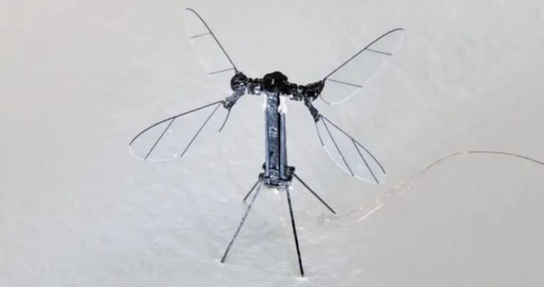 Chinese Student Builds a Mosquito-Like Drone