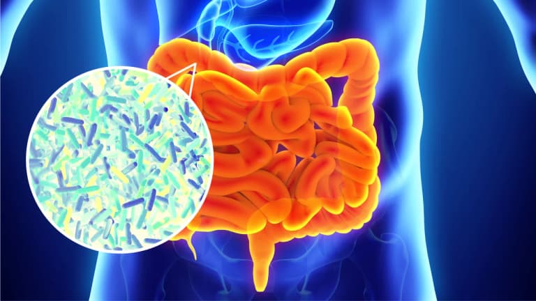 The hidden defense of the gut microbiome: is every medication a risk?