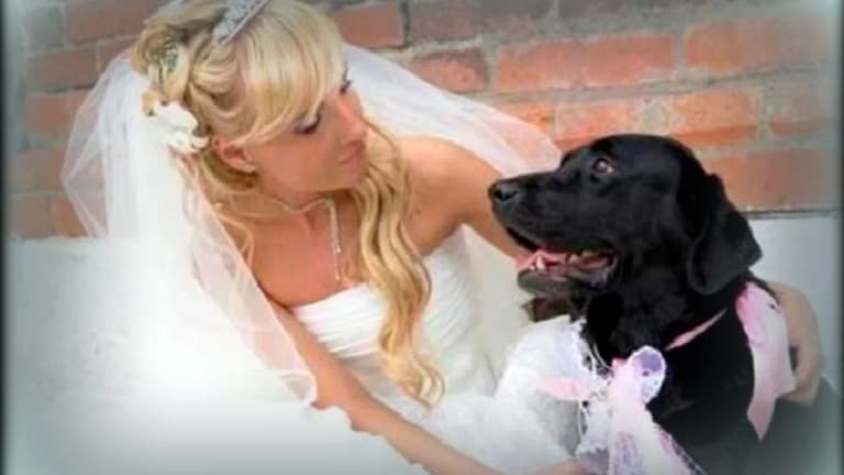 Millions to the dog, just 1 cent to the wife?!