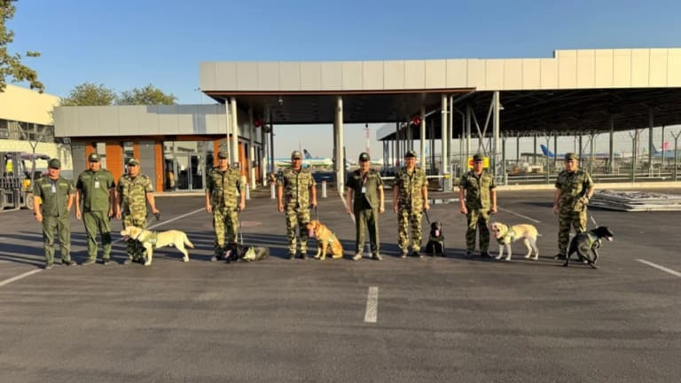 Koreans purchased 6 more Uzbek service dogs